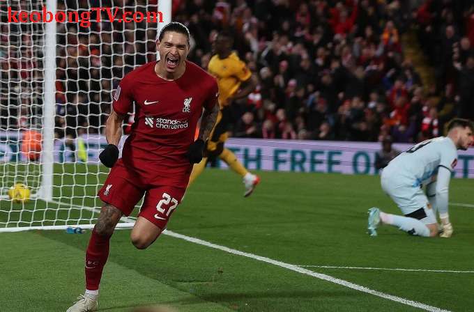 Liverpool hòa trong trận ra mắt Gakpo 