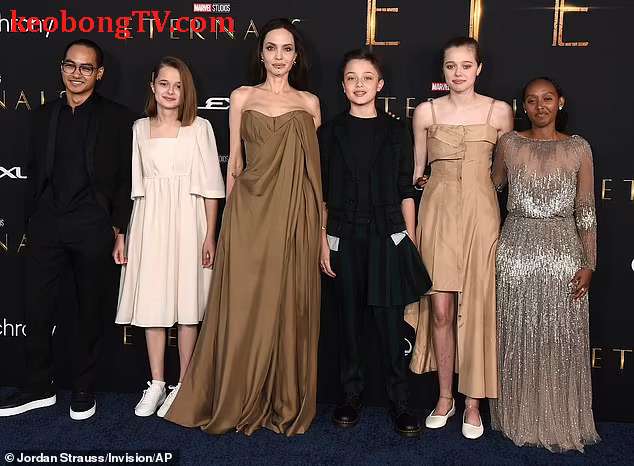  Brad Pitt ngừng tranh quyền nuôi con cùng Angelina Jolie