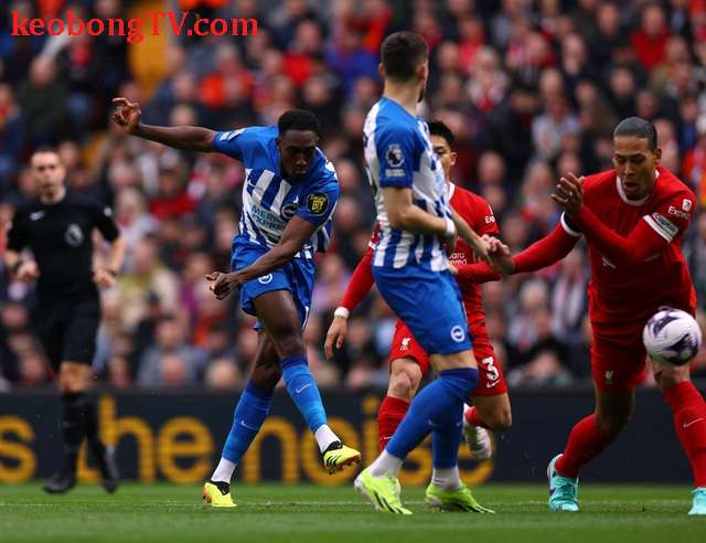  Liverpool ngược dòng hạ Brighton, quay lại ngôi đầu Giải Premier League